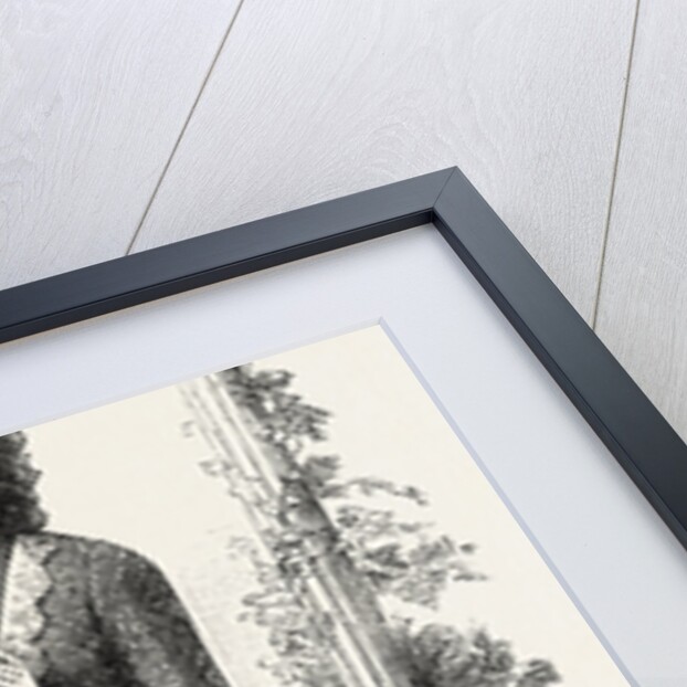 Evening Demi Toilette by Anonymous