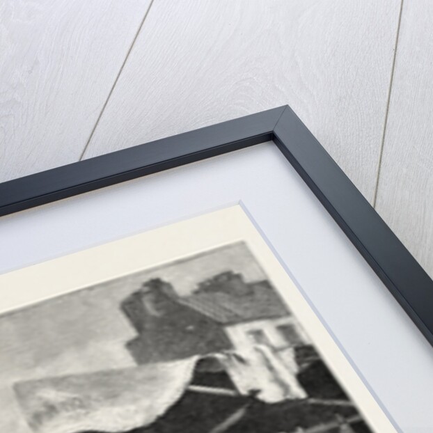 The Old Game and Poultry Market in Paris, Rance by Anonymous