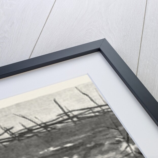 Haunts of Wild Ducks by Anonymous