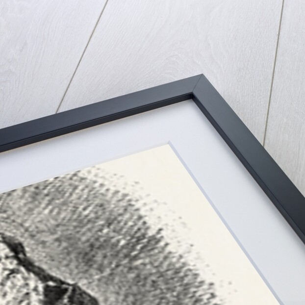 Bust of Rouen Faience Liamilton Collection, Furniture by Anonymous