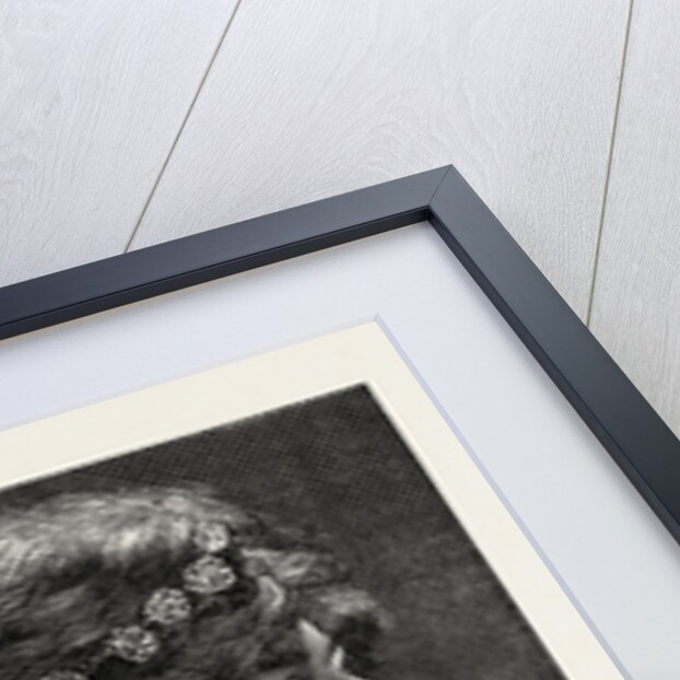 Egyptian, 19th Century, Lady by Anonymous