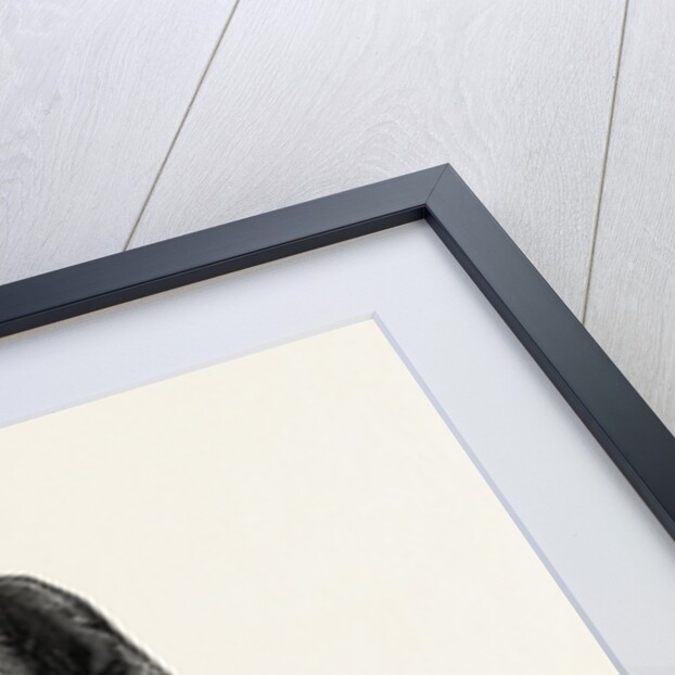 Dinner Dress Front by Anonymous