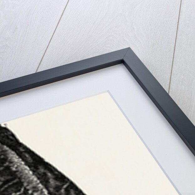 Easel Photograph Frame by Anonymous