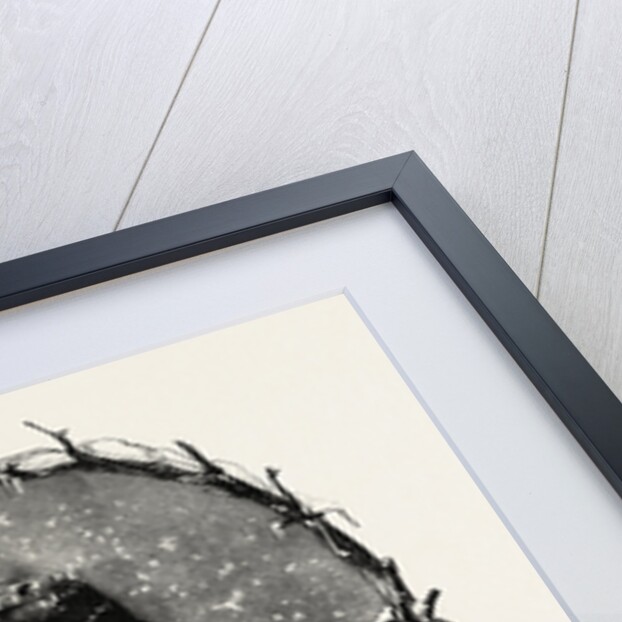 Well Protected, Muff, Fashion, Winter by Anonymous