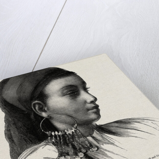 Abyssinian Slave Girl by Anonymous