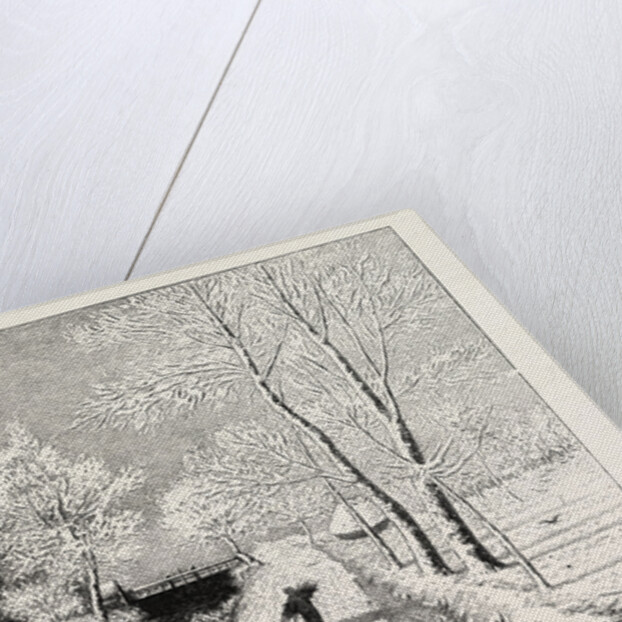 Winter Morning by Anonymous