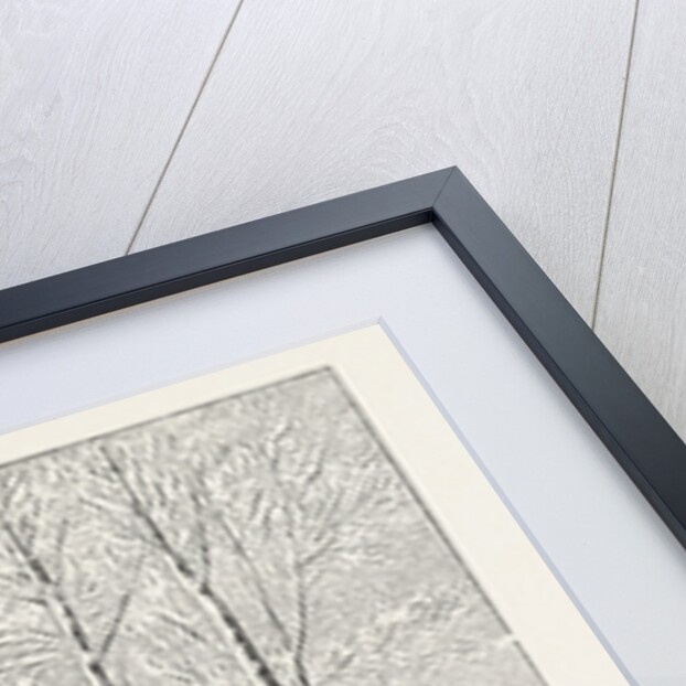 Winter Morning by Anonymous