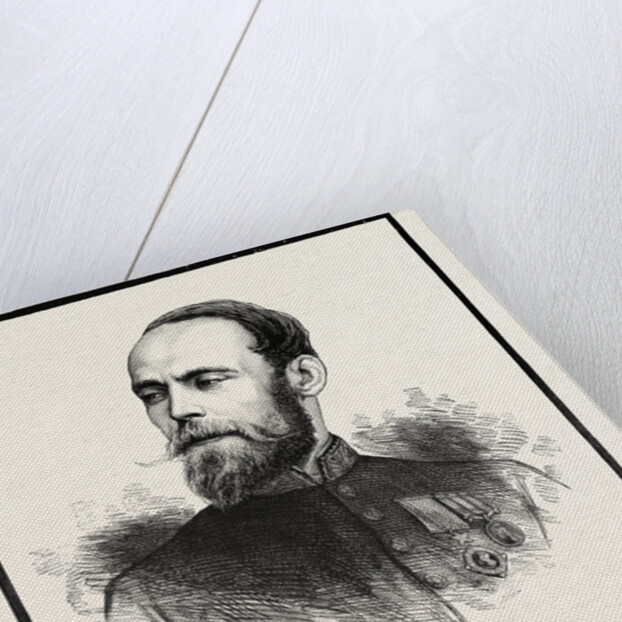 Sir Pierre Louis Napoleon Cavagnari Kcb Csi by Anonymous