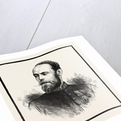 Sir Pierre Louis Napoleon Cavagnari Kcb Csi by Anonymous