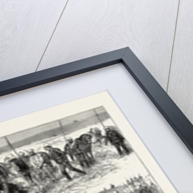 The Zulu War the Late Prince Louis Napoleon by Anonymous