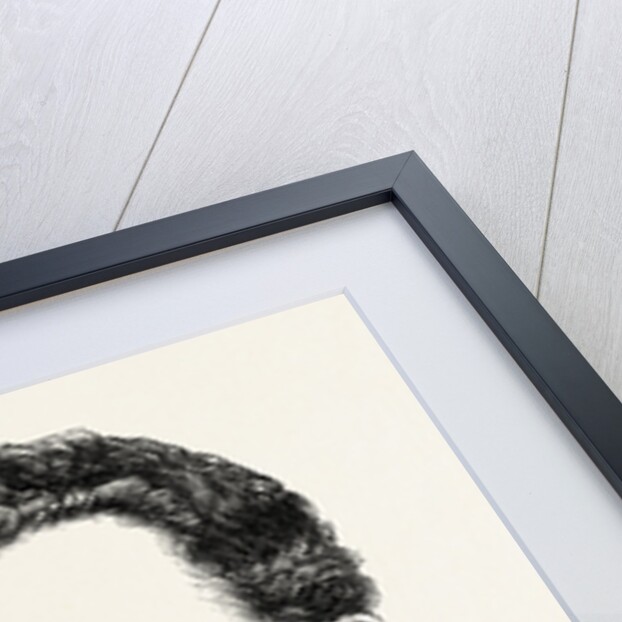 Mr. James Adrian Blaikie, of the Natal Carabineers Killed at Insandlwhana, Jan. 22, Aged 19, the Zulu War by Anonymous