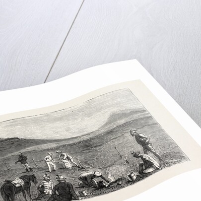 Encampment of Bettington's Horse, Conference Hill, the Zulu War by Anonymous