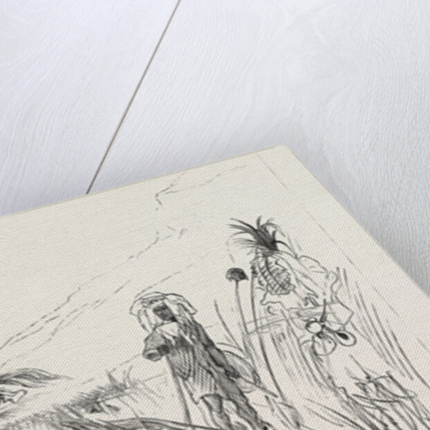 Swazi Kaffir Captain White's Native Battalion Leaving Col. Wood's Encampment on a Scouting Expedition, the Zulu War by Anonymous