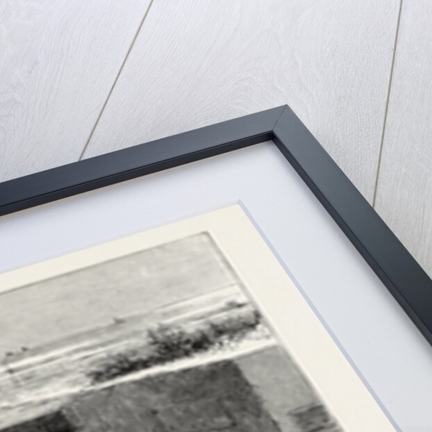 Meeting of the National Artillery Association at Shoeburyness Competition with the Ten-Inch Muzzle-Loading Gun, the Zulu War by Anonymous