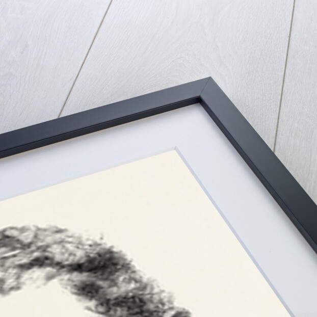 Lieut. A. C. Baskerville-Mynors 60th Rifles Died of Dysentery at Fort Pearson, Natal, April 25 by Anonymous