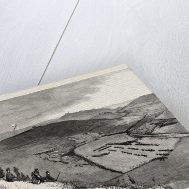 Bird's-Eye View of the March-Past, at Dover by Anonymous
