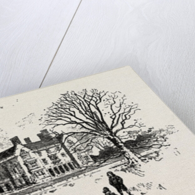 Hemsted Park, Golden Wedding of Lord and Lady Cranbrook at Hemsted Park, Kent by Anonymous