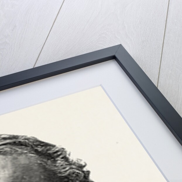 Hon. S. Dana Horton, American by Anonymous