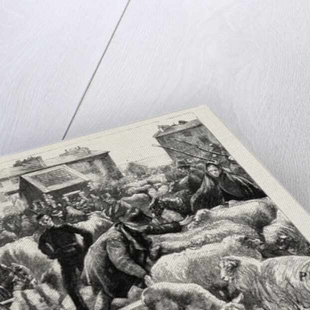 A Cattle Fair, County Galway Ireland by Anonymous