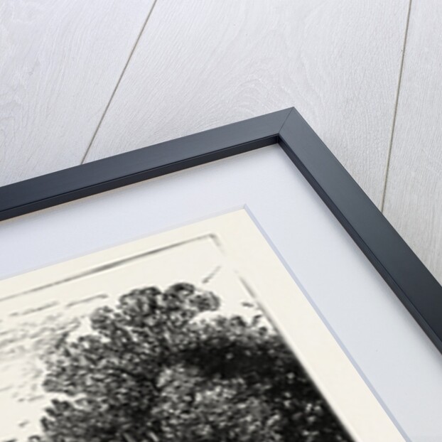 Cottage at Wilmcote, the Residence of Robert Arden, Father of Mary Arden, Shakespeare's Mother by Anonymous