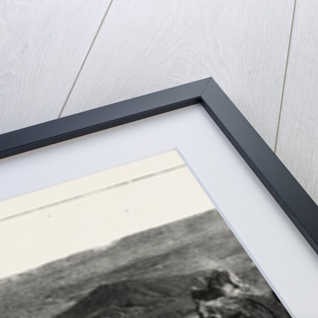 The Sahara Desert by Anonymous