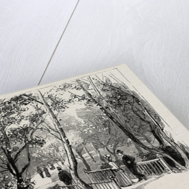 Bournemouth, View in Public Gardens by Anonymous