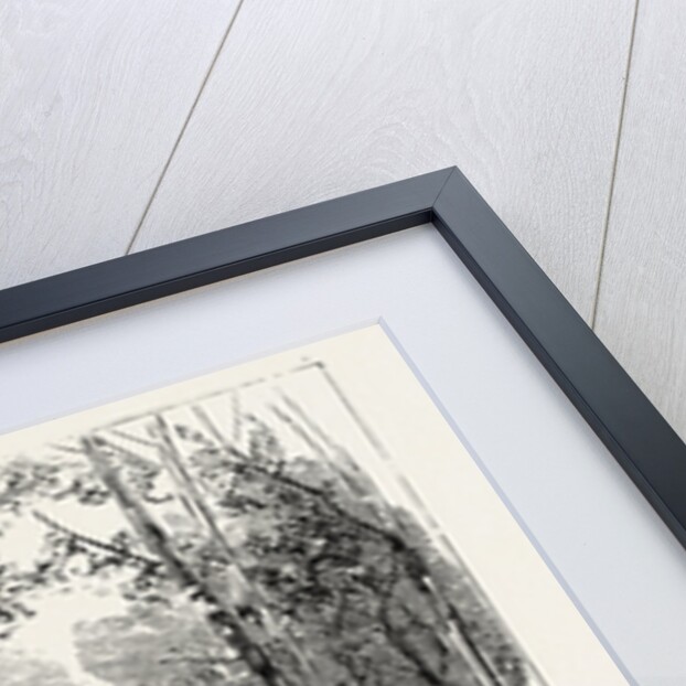 Bournemouth, View in Public Gardens by Anonymous