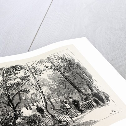 Bournemouth, View in Public Gardens by Anonymous