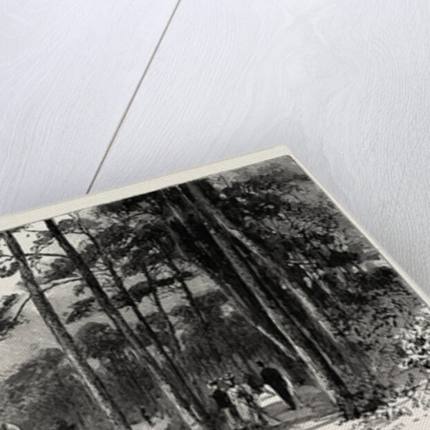 Bournemouth, Gervis Road by Anonymous