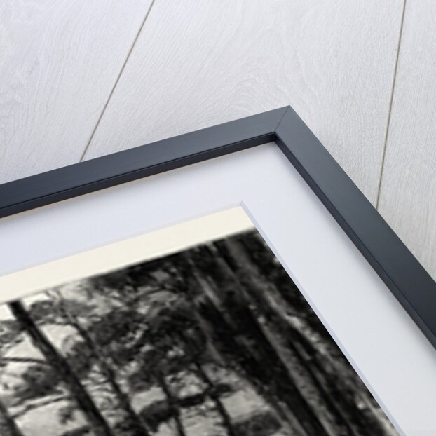 Bournemouth, Gervis Road by Anonymous