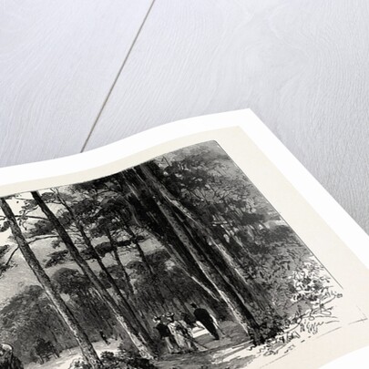 Bournemouth, Gervis Road by Anonymous