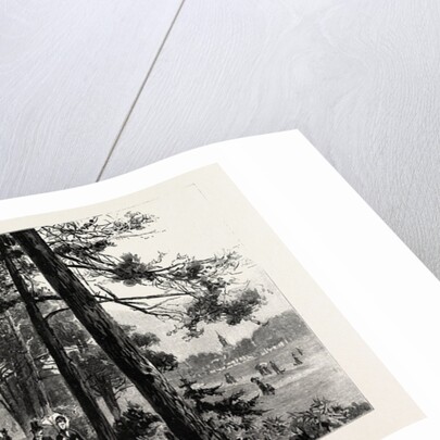 Bournemouth, the Invalids Walk in Public Gardens by Anonymous