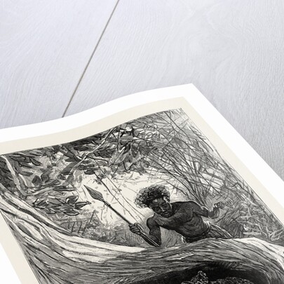 I Saw in the Hollow Between the Roots of a Big Tree Three Little Cubs About Two Months Old by Anonymous