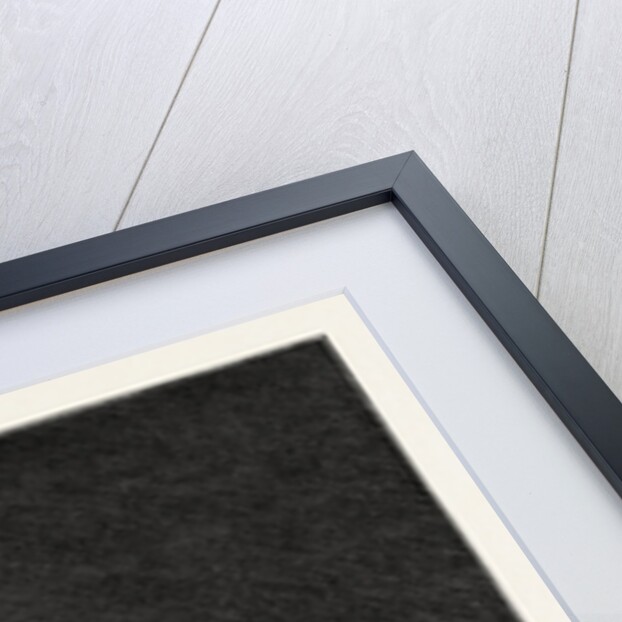 The Prussian Crown to Be Worn by the Emperor, William II. by Anonymous