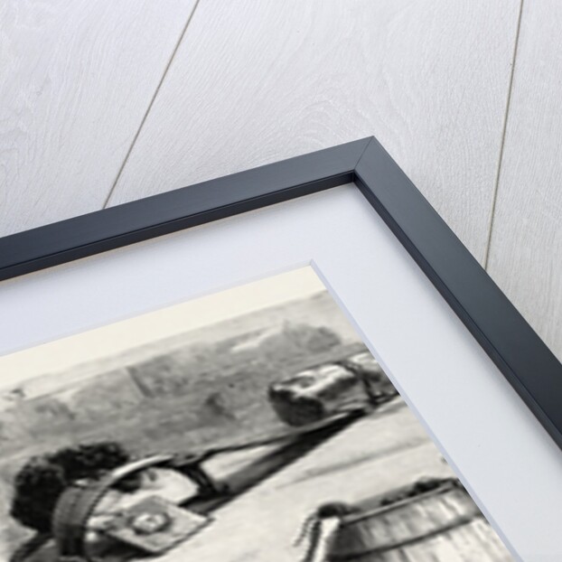 The Rat Plague in the Country, 3. La Grippe by Anonymous