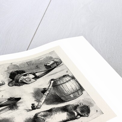 The Rat Plague in the Country, 3. La Grippe by Anonymous