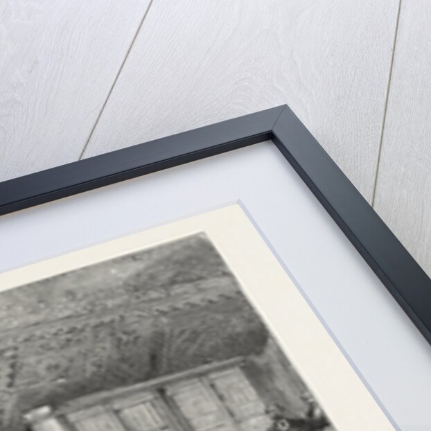 Meeting of the British and American Archaeological Society at Rome Under the Presidency of the Marquis of Dufferin by Anonymous