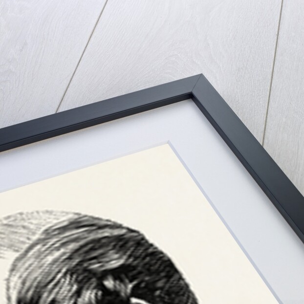 The Opening of Forth Bridge by the Prince of Wales, Lord Colville of Culross Chairman of the Great Northern Railway Company by Anonymous