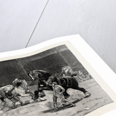 The Shire Horse Show at the Agricultural Hall, the Effect of Applause by Anonymous