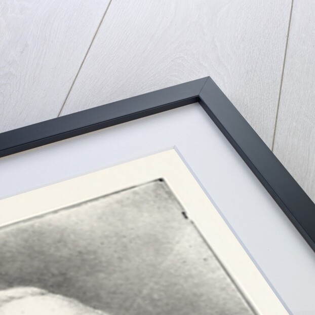 General Sir Daniel Lysons, G.C.B. Constable of H.M. Tower by Anonymous