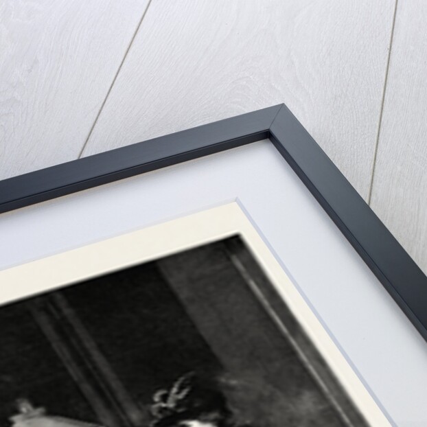 The Visitor by Anonymous