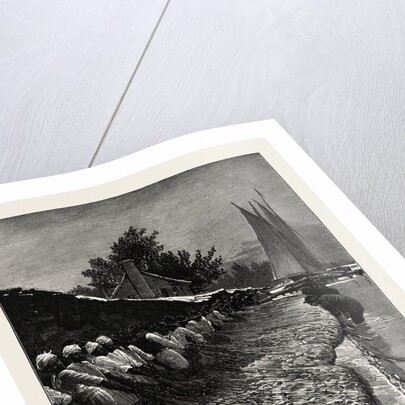 The American Fisheries Question, Shad Fishing on the Potomac, United States by Anonymous
