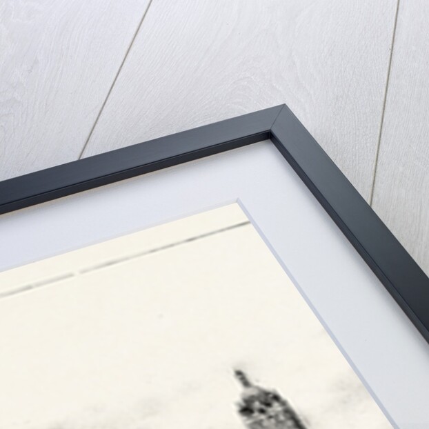 The Imperial Institute, London, the Facade of the Imperial Institute of the United Kingdom, the Colonies, and India by Anonymous