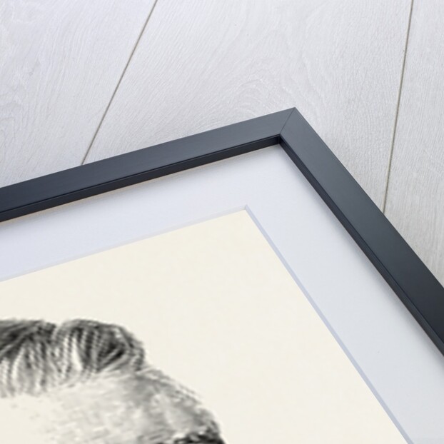 The Imperial Institute, London, Sir F.A. Abel, C.B., D.C.L., D.Sc., F.R.S. by Anonymous