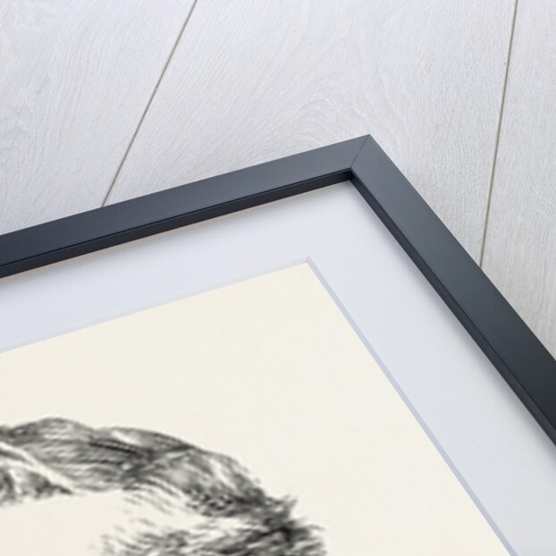 The Imperial Institute, London, Sir Somers Vine, F.R.G.S., F.S.S., Assistant Secretary. by Anonymous