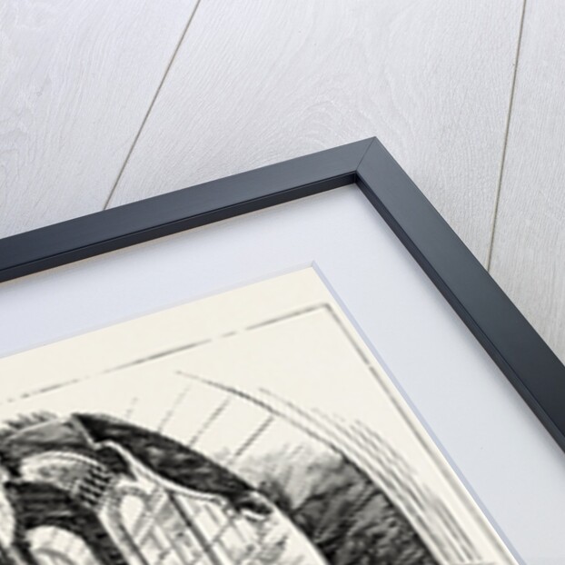 The Imperial Institute, London, East Staircase to First and Second Floors, Offices and Sample Rooms Wing by Anonymous