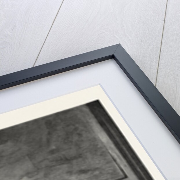 Uncle Toby and Widow Wadman by Anonymous