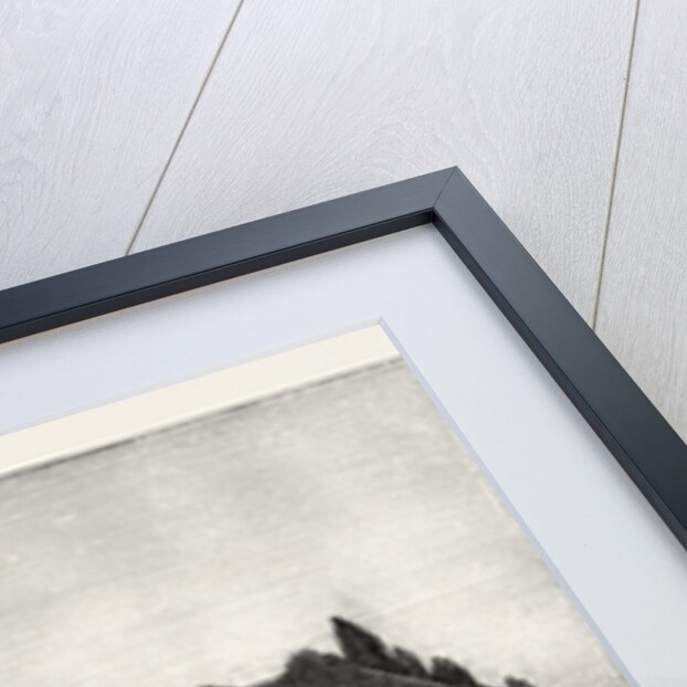 Trinidad Island, Recently Explored for Treasure Supposed to Have Been Hidden by Pirates by Anonymous