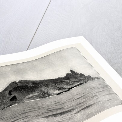 Trinidad Island, Recently Explored for Treasure Supposed to Have Been Hidden by Pirates by Anonymous