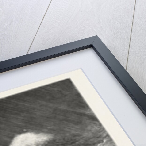 From Hong Kong to Macao in a Torpedo Boat, Full Speed Through a Gale, an Attempt to Obtain Shelter by Anonymous